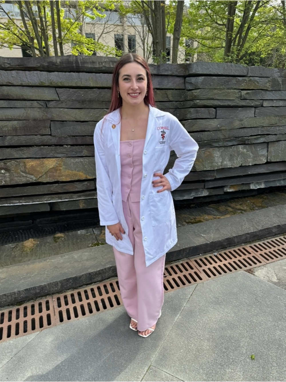 Abercrombie & Fitch Blush Pink Tailored Vest and Pantsuit